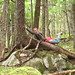 Amy Haines Photo 14