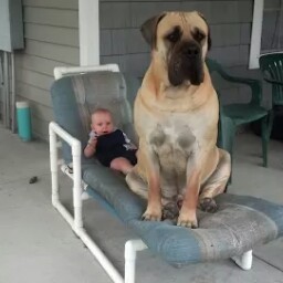 Christine Conklin Photo 35