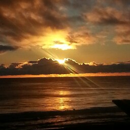 Terry Cantwell Photo 23