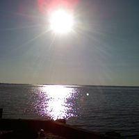 Debbie Stephens Photo 21