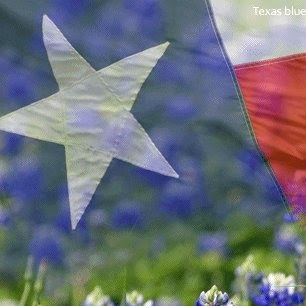 Paula Cleveland Photo 4