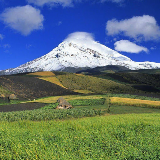 Roberto Guerrero Photo 46