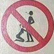 William Stein Photo 3