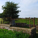 Ann Whyte Photo 26