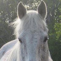 Laurie Dunbar Photo 18