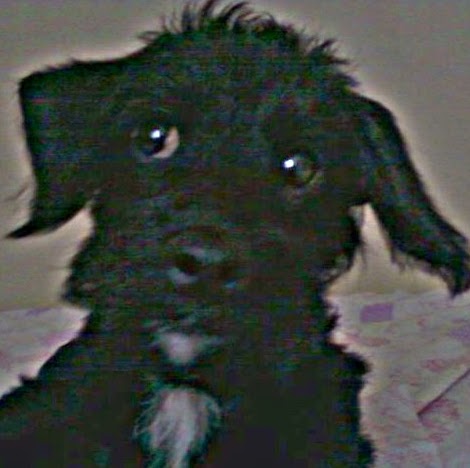 Victoria Fleming Photo 42