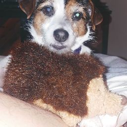 Raymond Powell Photo 37