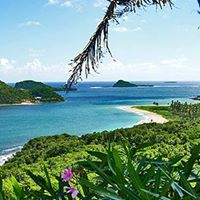 Robert Biondo Photo 6