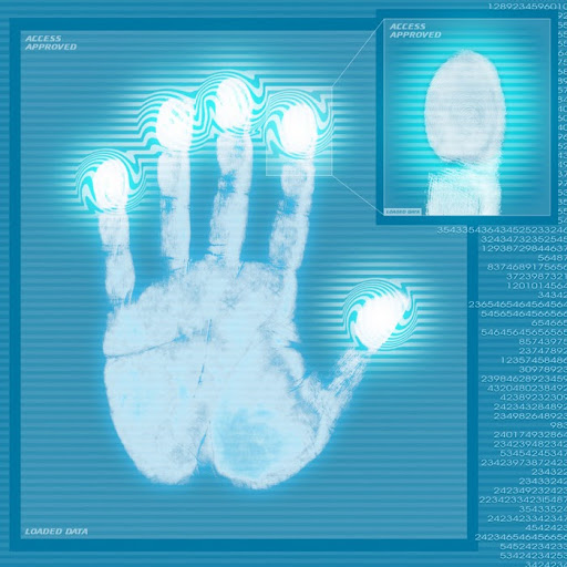 Darrell Roe Photo 16