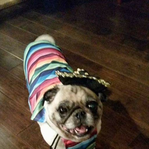 Dana Franks Photo 15