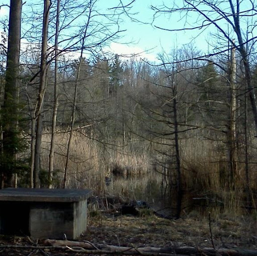 Paul Henley Photo 26