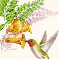 Phyllis Becker Photo 16