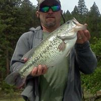 Perry Peters Photo 25