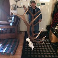 George Palmer Photo 19