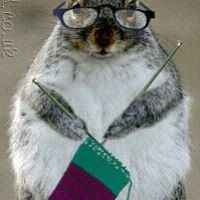 Joyce Farkas Photo 2