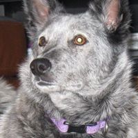 Debbie Strawn Photo 8