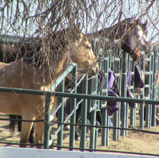 Donald Buckley Photo 18