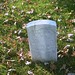 Samuel Martin Photo 37