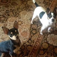 Michelle Bullock Photo 22