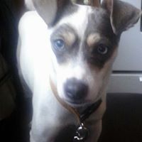 Wayne Robertson Photo 10