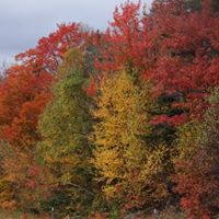 Alan Summers Photo 18 Alan Summers Photo 18