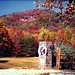 Ann Rich Photo 38