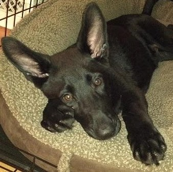 Brian Pendleton Photo 35