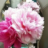 Debbie Gannon Photo 18