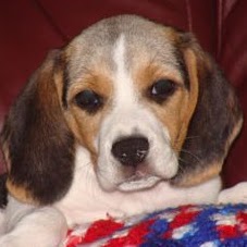 Jill Mayfield Photo 14