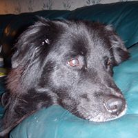 Penelope Russell Photo 13