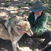 Paul Wolf Photo 45