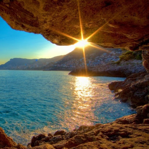 Sandra Horn Photo 18 Sandra Horn Photo 18