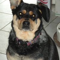 Bonnie Clark Photo 9