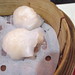 Ho Yau Photo 8