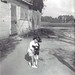 Susan Carlisle Photo 8