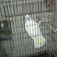 Linda Shoemaker Photo 35