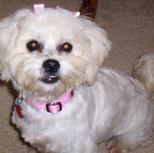 Vivian Brooks Photo 19