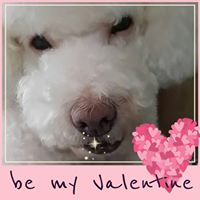 Pearlie Rich Photo 1