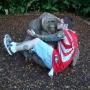 Adam Benson Photo 18