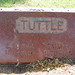 Emma Tuttle Photo 5