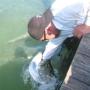 Jonathan Hendrickson Photo 19