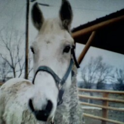 Reta Chapman Photo 2