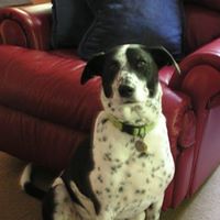 Janet Swope Photo 2