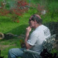 Steve Hewlett Photo 29