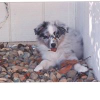 Theresa Carr Photo 14