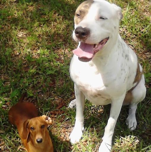 Kimberly Garrett Photo 44