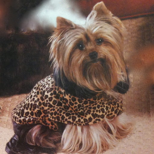 Stella Ramirez Photo 4