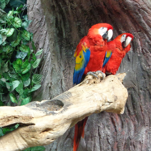Arturo Ventura Photo 11