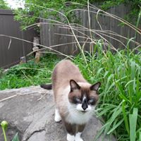 Sue Rasmussen Photo 26