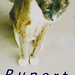 George Rupert Photo 11